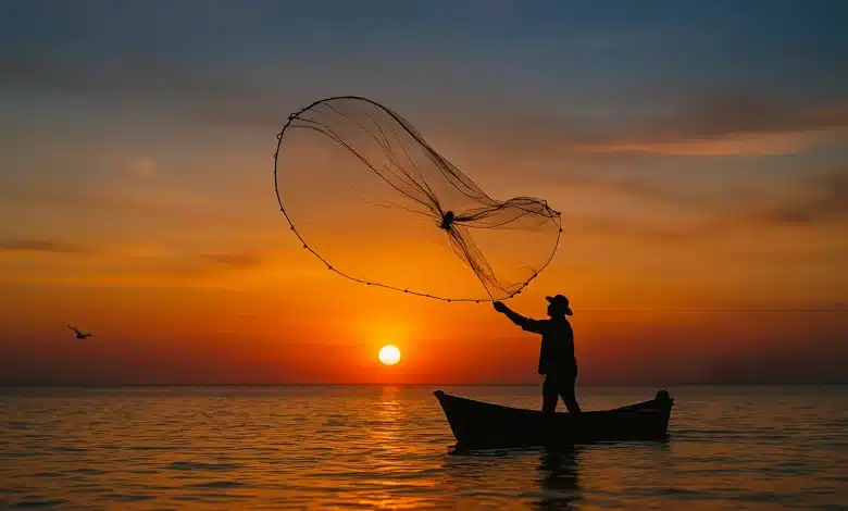 Governo suspende mais de 130 mil licenças de pescadores por fraude