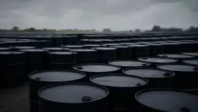 OPEP+ aumenta produção de petróleo em 137 mil barris diários 9 OPEP+ aumenta produção de petróleo em 137 mil barris diários