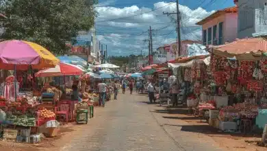 Câmara aprova inclusão de Pacaraima na área de livre comércio de Boa Vista 7 Câmara aprova inclusão de Pacaraima na área de livre comércio