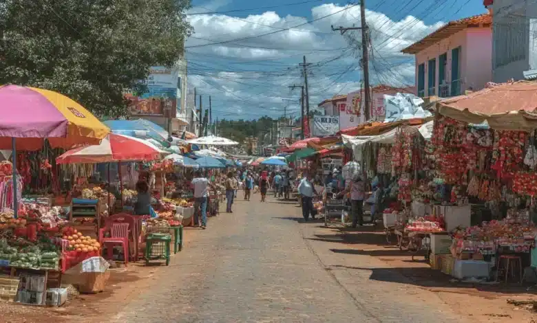 Câmara aprova inclusão de Pacaraima na área de livre comércio