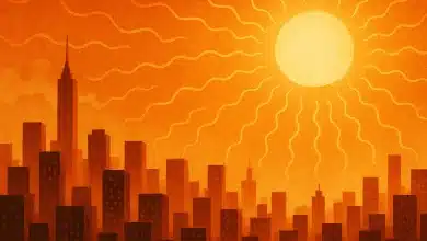 Calor extremo cresce 25% nas principais capitais do mundo 6 Calor extremo cresce 25% nas principais capitais do mundo
