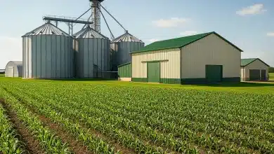 CAE aprova inclusão de cooperativas no Pronampe 8 CAE aprova inclusão de cooperativas no Pronampe