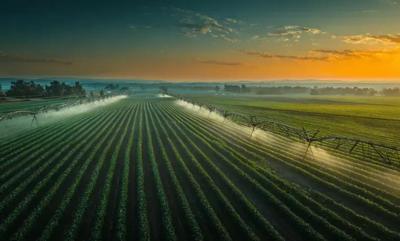Copacon inaugura complexo agroindustrial e impulsiona agricultura