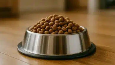 Mapa define limites de micotoxinas em alimentos para pets 1 Mapa define limites de micotoxinas em alimentos para pets