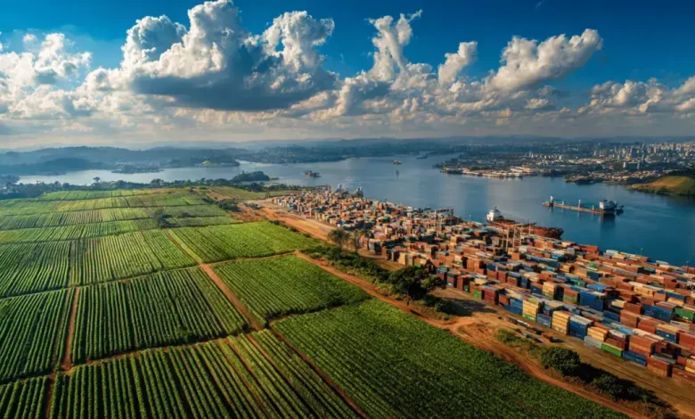 Exportações do Agronegócio Brasileiro Batem Recorde em Setembro