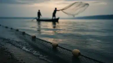 Ministério altera regras para aquicultura em Águas da União 4 Ministério altera regras para aquicultura em Águas da União