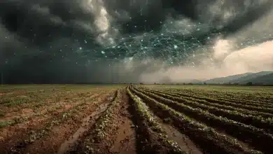 Mapa avalia perdas agrícolas devido a intempéries climáticas 4 Mapa Avalia Perdas Agrícolas Devido a Intempéries Climáticas