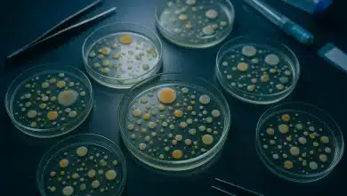 Bactérias transformam plásticos em medicamentos 5 Bactérias transformam plásticos em medicamentos