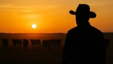 Trump rebate pecuaristas dos EUA por críticas sobre carne argentina 3 Trump rebate pecuaristas dos EUA por críticas sobre carne argentina