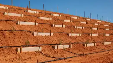 Barragens no Cerrado recebem projeto de revegetação da Embrapa 7 Barragens no Cerrado recebem projeto de revegetação da Embrapa
