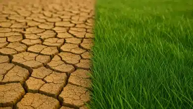 Municípios brasileiros enfrentam desafios na adaptação climática 10 Municípios brasileiros enfrentam desafios na adaptação climática
