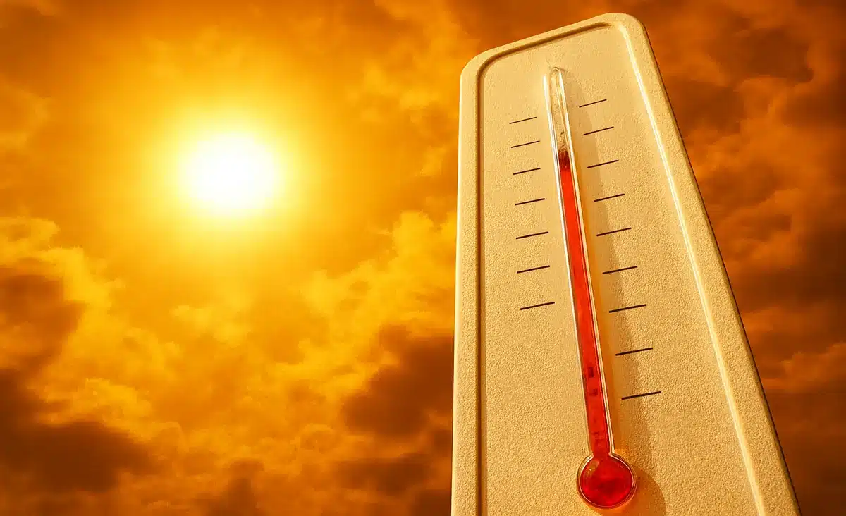 Mortes por calor podem dobrar nas próximas décadas