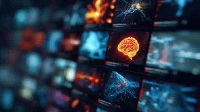 YouTube lança ferramenta de detecção de semelhança com IA 3 YouTube lança ferramenta de detecção de semelhança com IA