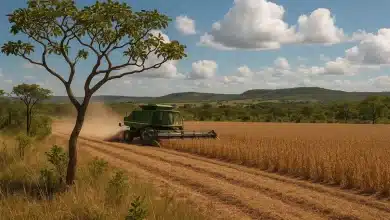 Expansão agropecuária no Cerrado ameaça o equilíbrio ambiental 7 Expansão agropecuária no Cerrado ameaça o equilíbrio ambiental