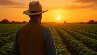 Comissão aprova inclusão de agricultores de subsistência como extrativistas 9 Comissão aprova inclusão de agricultores de subsistência como extrativistas