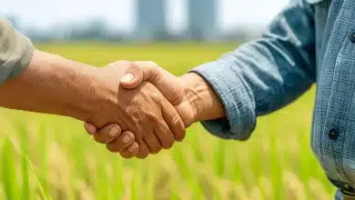 Governo concede desconto nos juros para boas práticas agrícolas 7 Governo concede desconto nos juros para boas práticas agrícolas