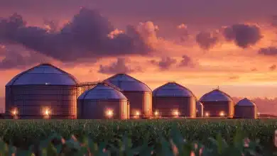 Armazenagem agrícola cresce 1,8% no 1º semestre 2 Armazenagem Agrícola no Brasil Atinge Novo Recorde em 2025