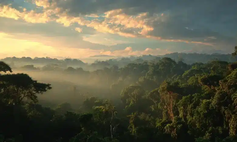 Brasil avança na restauração ambiental com 3,4 milhões de hectares