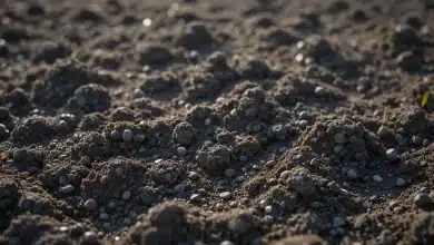 Como o solo pode ser a solução para a crise climática 7 Como o solo pode ser a solução para a crise climática