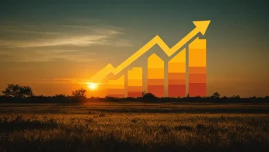 Crescimento de 31% nas Cédulas de Produto Rural entre julho e outubro 3 Crescimento de 31% nas Cédulas de Produto Rural entre julho e outubro