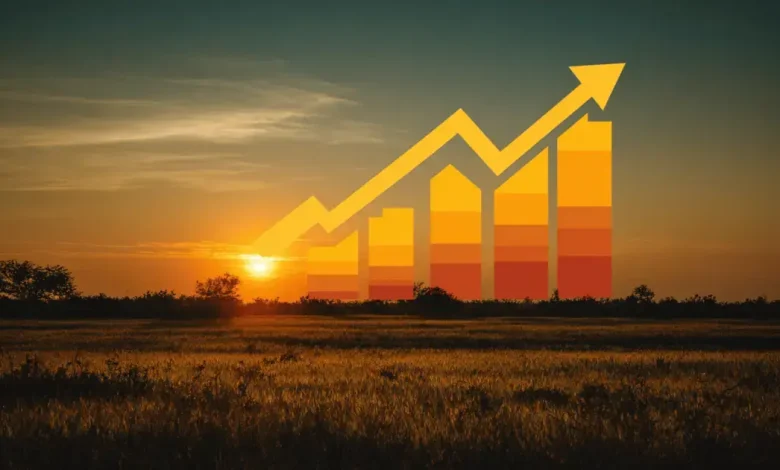 Crescimento de 31% nas Cédulas de Produto Rural entre julho e outubro
