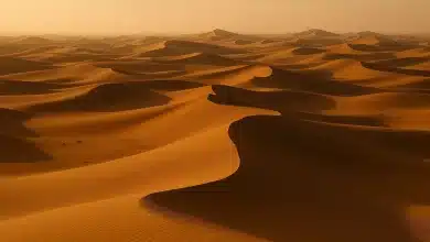 Deserto do Saara pode ficar até 75% mais úmido até o final do século 3 Deserto do Saara pode ficar até 75% mais úmido até o final do século