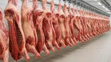 Japão realizará auditoria para liberar carne bovina brasileira 6 Japão realizará auditoria para liberar carne bovina brasileira