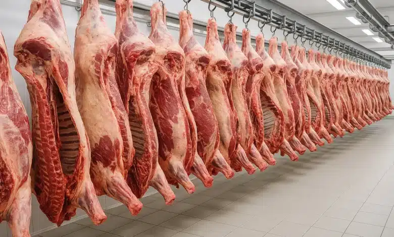 Japão realizará auditoria para liberar carne bovina brasileira