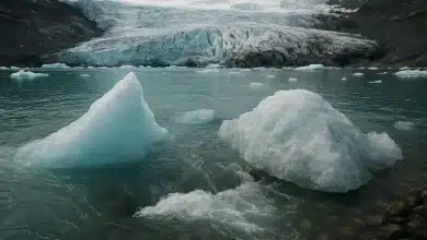 Recuo rápido de geleira na Antártica preocupa cientistas 6 Recuo rápido de geleira na Antártica preocupa cientistas