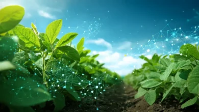 Intacta 5+: Bayer aposta em inovação para a sojicultura 5 Intacta 5+ Inova Soja com Biotecnologia Avançada