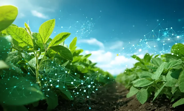 Intacta 5+ Inova Soja com Biotecnologia Avançada