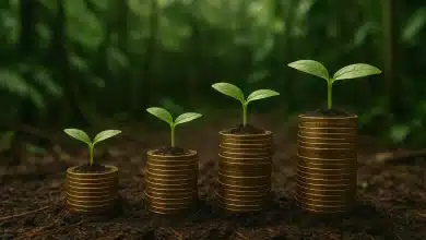 Financiamento climático dobra no Brasil e chega a US$ 67,8 bi 8 Financiamento climático dobra no Brasil e chega a US$ 67,8 bi