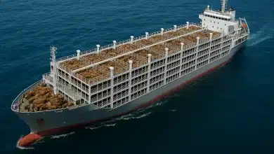 Navio com vacas uruguaias está bloqueado na Turquia há mais de 50 dias 8 Navio com vacas uruguaias está bloqueado na Turquia há mais de 50 dias