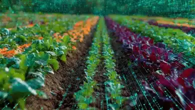 Novo decreto moderniza fiscalização de produtos vegetais 10 Novo Decreto Moderniza Fiscalização de Produtos Vegetais