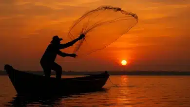 Comissão aprova crédito especial para pesca artesanal 4 Comissão aprova crédito especial para pesca artesanal