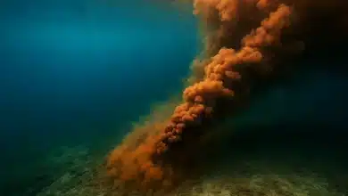 Mineração submarina ameaça ecossistemas e coloca pesca em risco 2 Mineração submarina ameaça ecossistemas e coloca pesca em risco