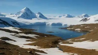 Mapeamento da Antártica revela 107 mil hectares de vegetação 7 Mapeamento da Antártica revela 107 mil hectares de vegetação