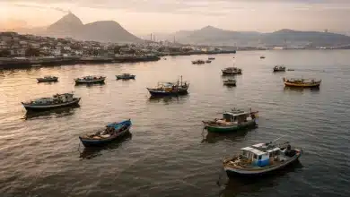 Mercúrio em peixes da Baía de Guanabara preocupa pesquisadores 2 Mercúrio em peixes da Baía de Guanabara preocupa pesquisadores