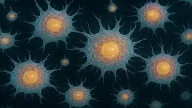 Ideia de estudante sobre células zumbis revoluciona pesquisa 6 Ideia de estudante sobre células zumbis revoluciona pesquisa