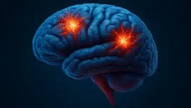 Scanner móvel estuda trauma de explosão em soldados 2 Scanner móvel estuda trauma de explosão em soldados