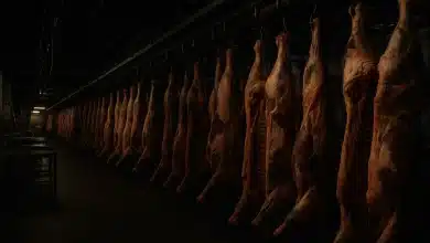 JBS fechará fábrica de carne bovina na Califórnia 3 JBS fechará fábrica de carne bovina na Califórnia