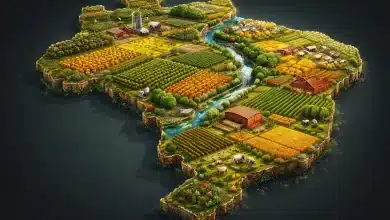 Atividades agropecuárias ocupam quase um terço do território brasileiro 1 Atividades agropecuárias ocupam quase um terço do território brasileiro