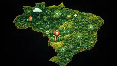 IBGE atualiza BDiA e amplia análises ambientais do território 4 IBGE atualiza BDiA e amplia análises ambientais do território