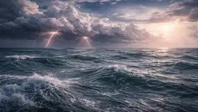Fenômeno ENSO altera dinâmica das pescarias atlânticas 9 Fenômeno ENSO altera dinâmica das pescarias atlânticas