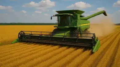 Comissão aprova saque do FGTS para compra de máquinas agrícolas 10 Comissão aprova saque do FGTS para máquinas agrícolas