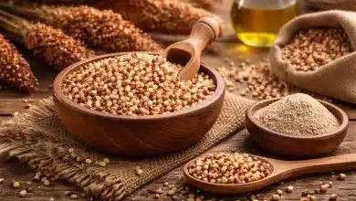Brasil abre novos mercados para produtos agropecuários 7 Brasil abre novos mercados para produtos agropecuários
