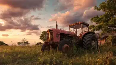 Trabalho agrícola cai drasticamente em 12 anos no Brasil 4 Trabalho Agrícola Cai Drasticamente em 12 Anos no Brasil