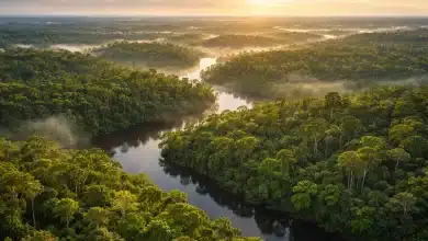 Fundo Amazônia aprova mais de R$ 2 bi em projetos em 2025 8 Fundo Amazônia aprova mais de R$ 2 bi em projetos em 2025