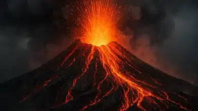 Erupção vulcânica pode ter causado a Peste Negra na Europa 3 Erupção vulcânica pode ter causado a Peste Negra na Europa