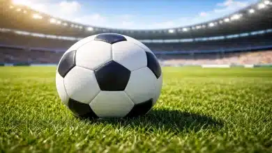 Como o calor extremo pode impactar a Copa do Mundo 2026 7 Como o calor extremo pode impactar a Copa do Mundo 2026